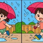 Test de inteligencia: encuentre 3 diferencias en una foto de una chica bajo la lluvia en 47 segundos Test de inteligencia: encuentre 3 diferencias en una foto de