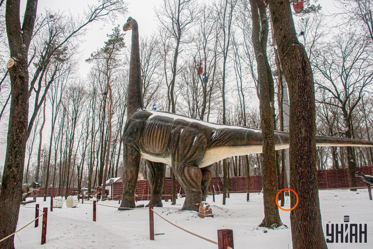 El perro estaba cerca de la esquina inferior izquierda de la foto / collage Moje