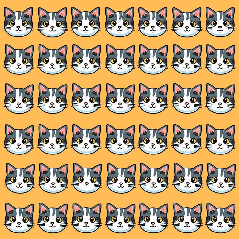 Esta ilusión óptica sólo es posible para personas con un coeficiente intelect grandioso / Imagen de Moje