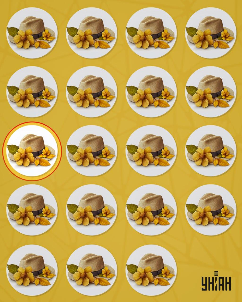 El sombrero extraño se distinguía de los demás por un pequeño detalle / collage Moje