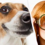 Sólo un verdadero titán del coeficiente intelect verá un perro