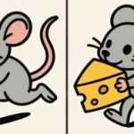 Super puzzle: encuentra 3 diferencias en la imagen de un