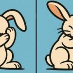 Súper test de inteligencia: encuentre 3 diferencias en la foto